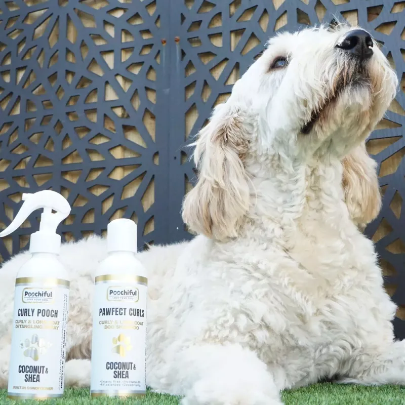 EcoPaw Shampoo Bar