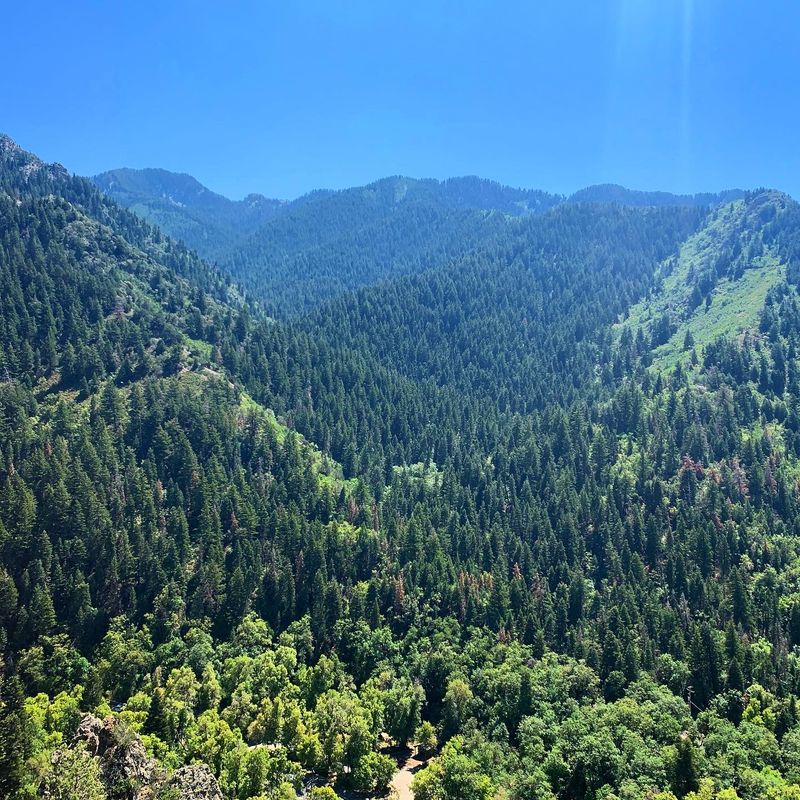 Millcreek Canyon Trails - Millcreek, Utah