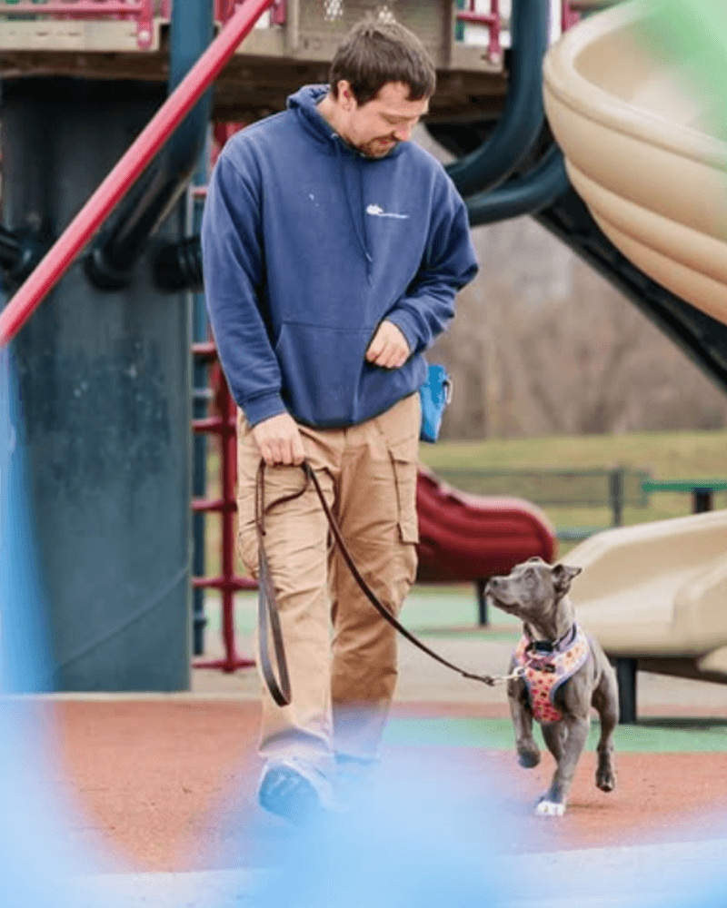 If walks feel stressful, one of these 11 mistakes could be the reason 5 Allowing constant pulling
