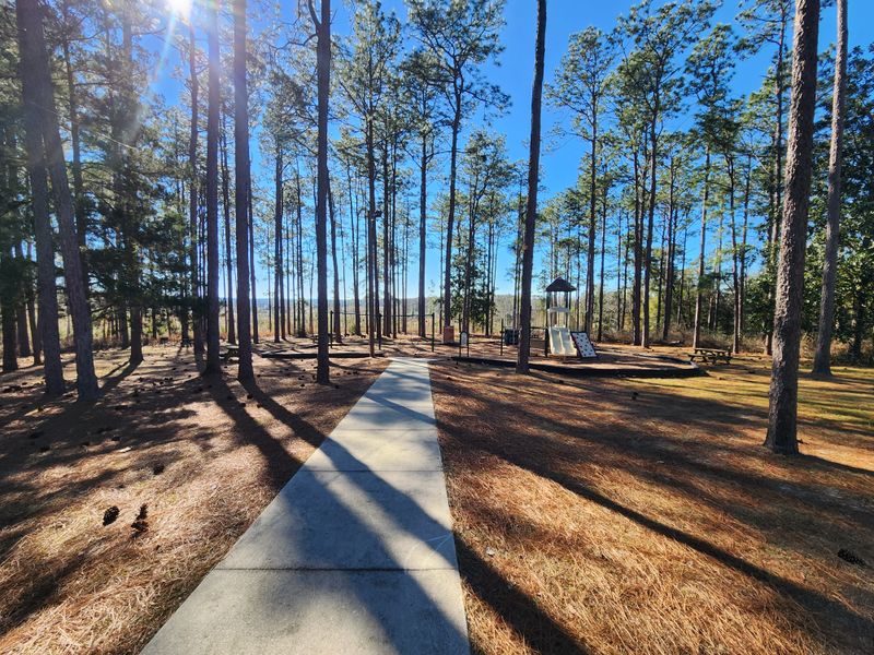 Falling Waters State Park — Chipley