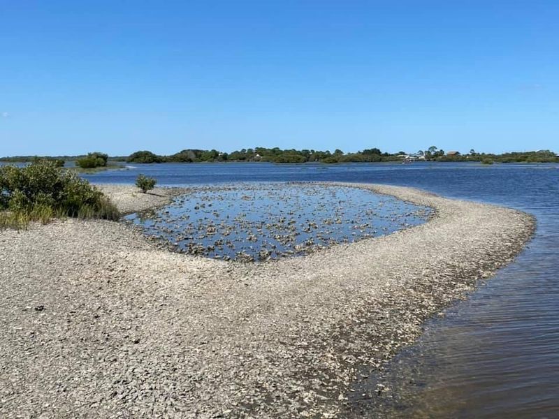 Cedar Key Scrub State Reserve