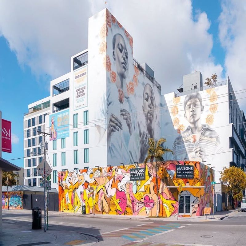 Stroll Wynwood Walls (Miami)