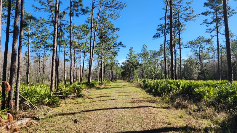 Colt Creek State Park – Lakeland