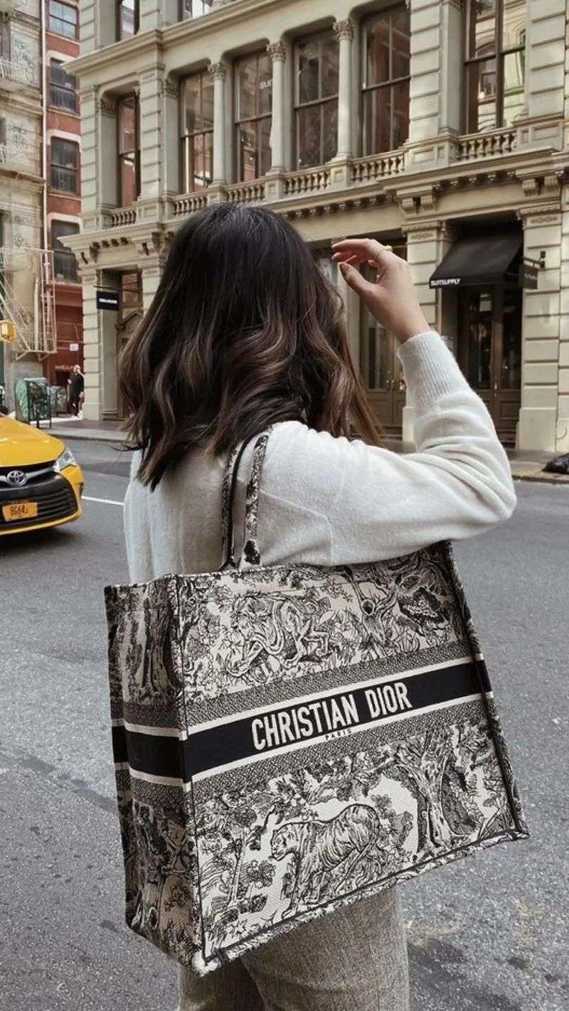 Dior Book Tote