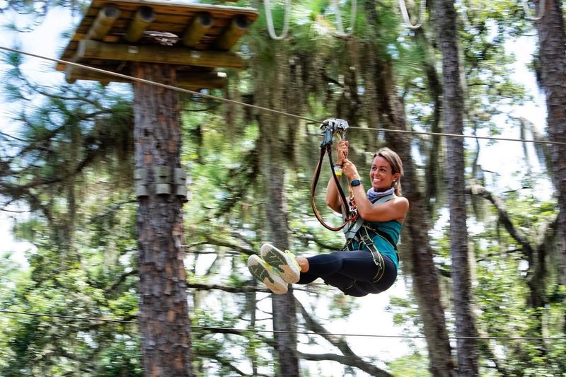 TreeUmph Adventure Course — Bradenton