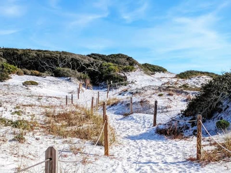 Grayton Beach State Park – Santa Rosa Beach, FL