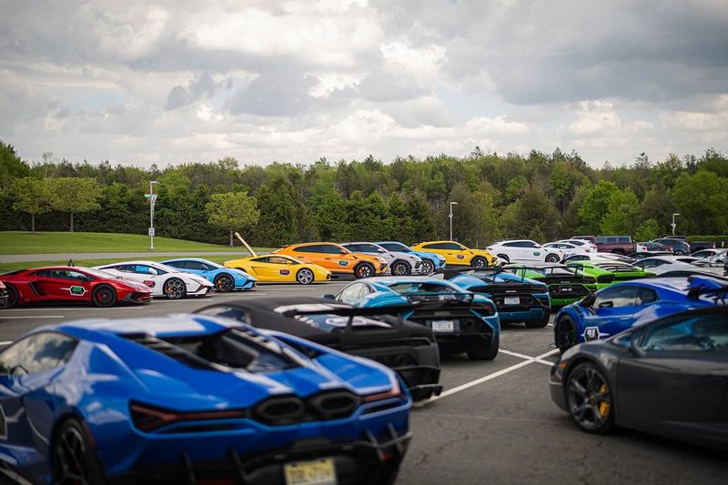 Festivals and Local Events