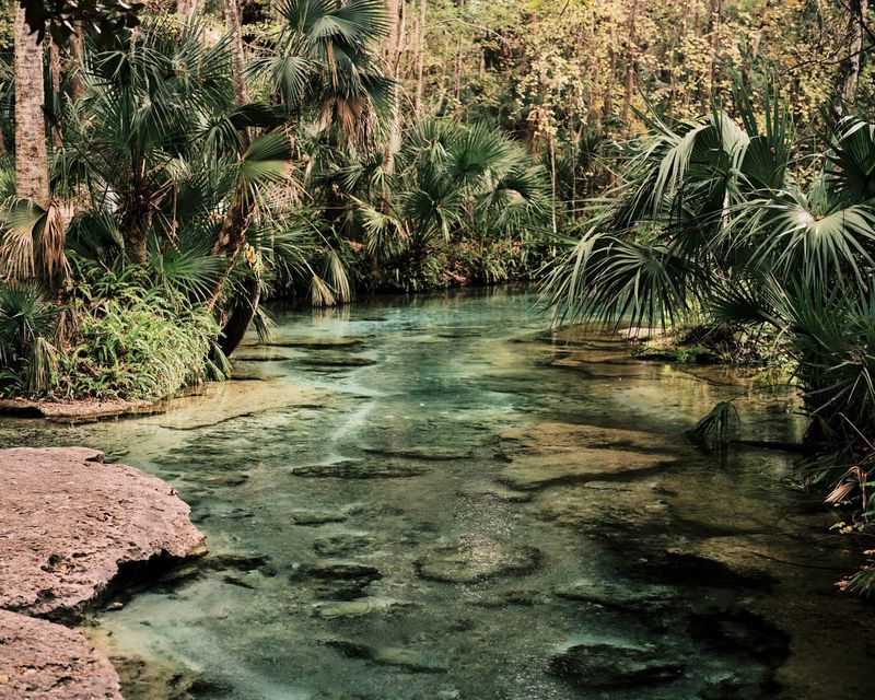 Kayak or paddle Rock Springs Run