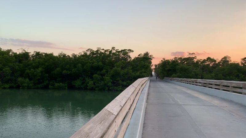 Bayview Trail at Lover's Key State Park – Fort Myers Beach