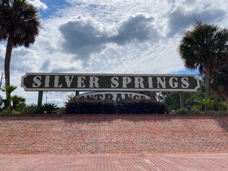 Silver Springs State Park (Ocala)