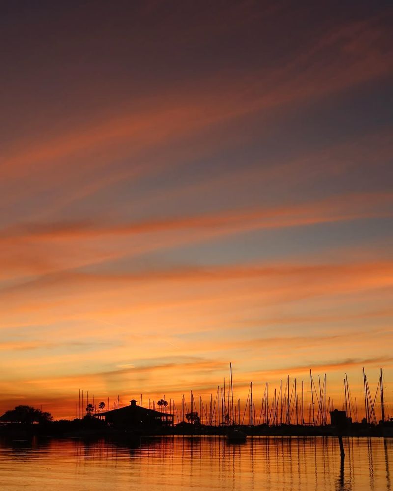 Davis Islands – Tampa