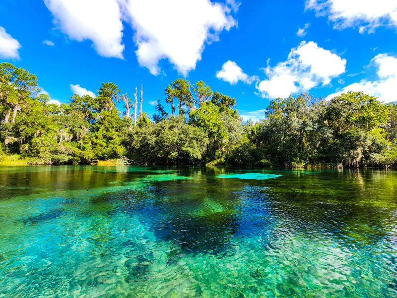 Rainbow Springs State Park – Dunnellon