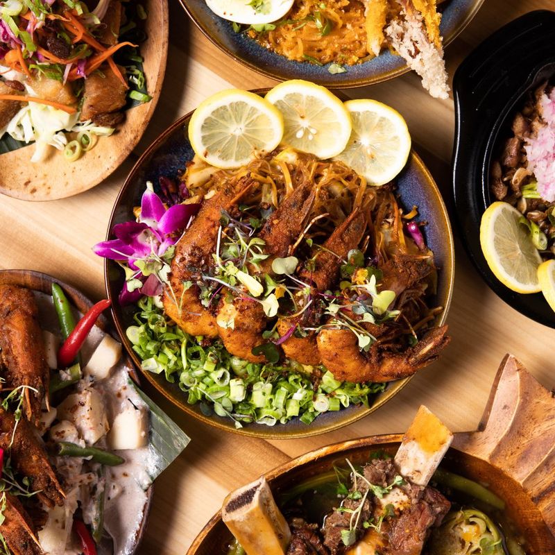 Purple Roots — Jacksonville, FL