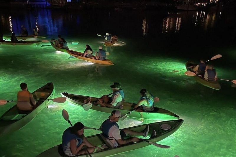 Clearwater Beach LED Glass-Bottom Tours – Clearwater, FL