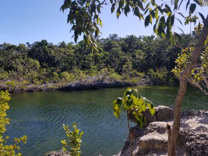 Dagny Johnson Key Largo Hammock Botanical State Park