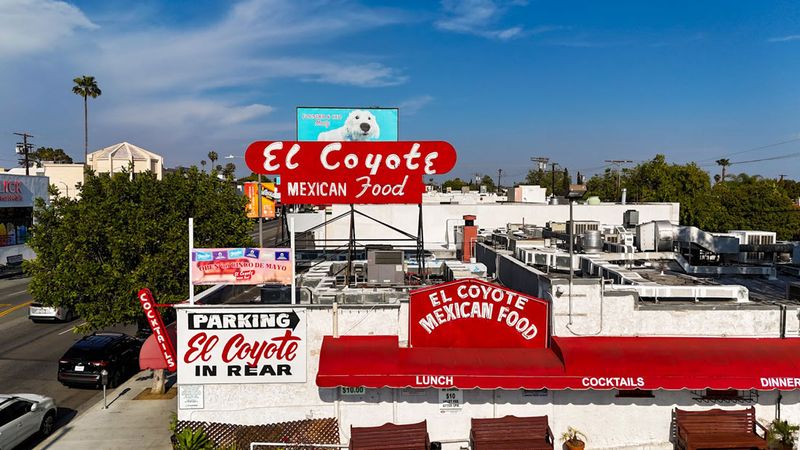 El Coyote