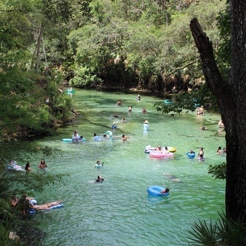 Blue Spring State Park – Orange City, FL