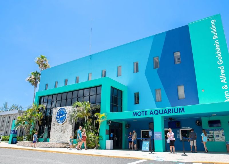 Check Out the Mote Marine Laboratory & Aquarium