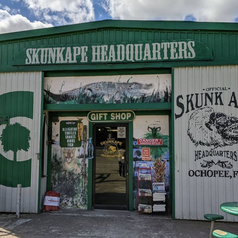 Skunk Ape Research Headquarters – Ochopee