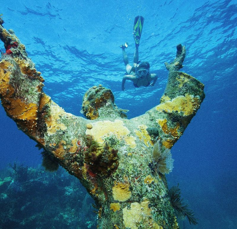 Snorkel or dive coral reefs