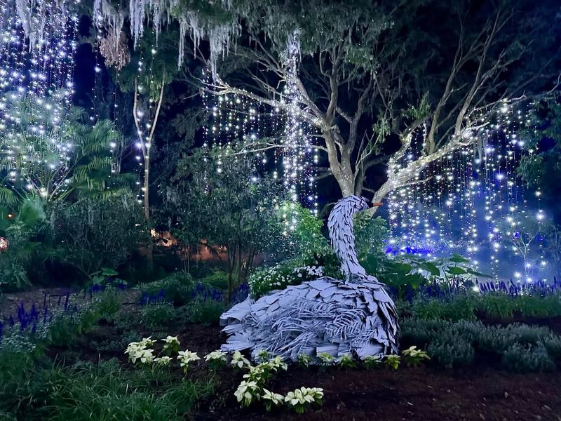 Explore Leu Gardens During a Moonlight Walk
