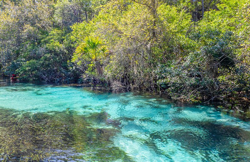 Weeki Wachee Springs State Park – Weeki Wachee