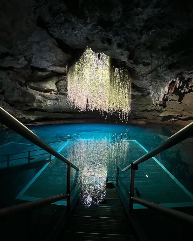 Devil's Den Prehistoric Spring – Williston