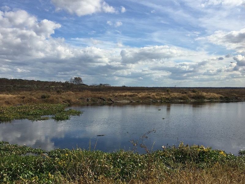 Where to Spot the Herd (Best Trails and Viewpoints)