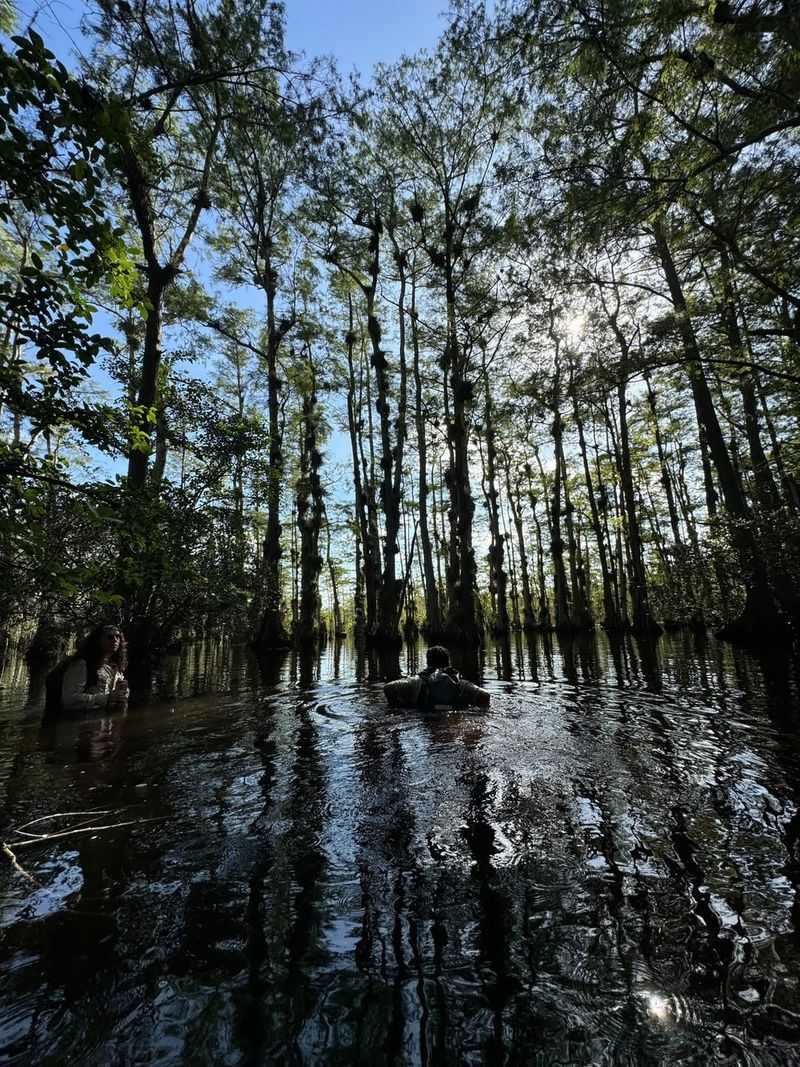 Big Cypress National Preserve – FL
