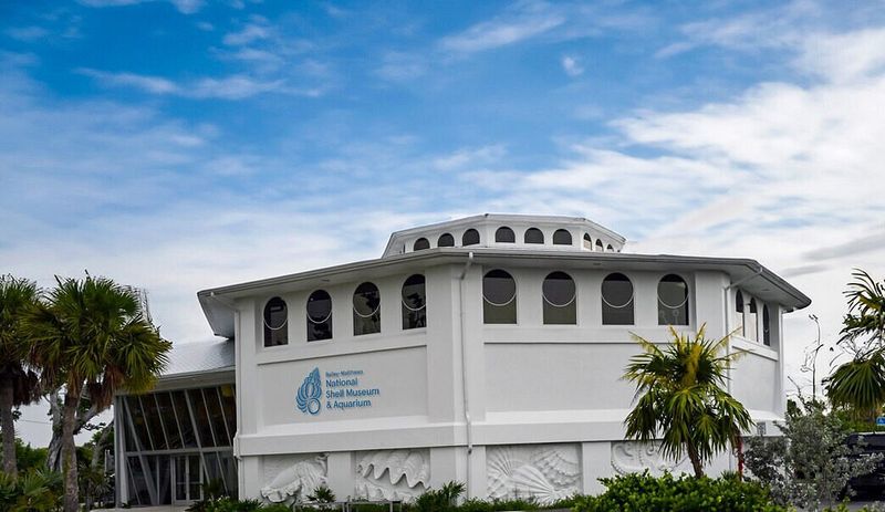 Visit the Bailey-Matthews National Shell Museum