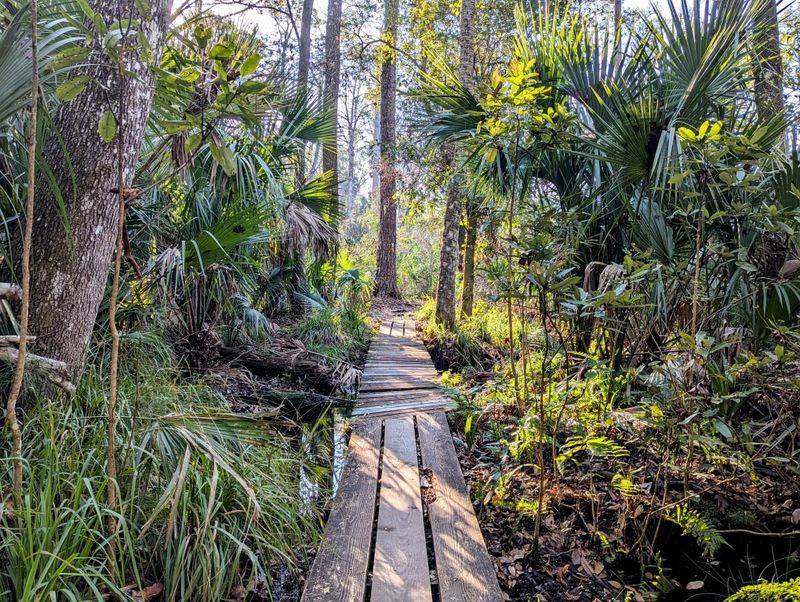 Wekiwa Springs State Park – Apopka