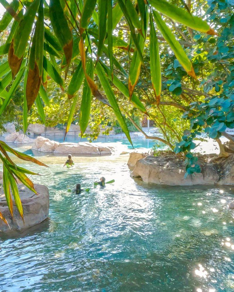 Do a lazy river birthday at Discovery Cove
