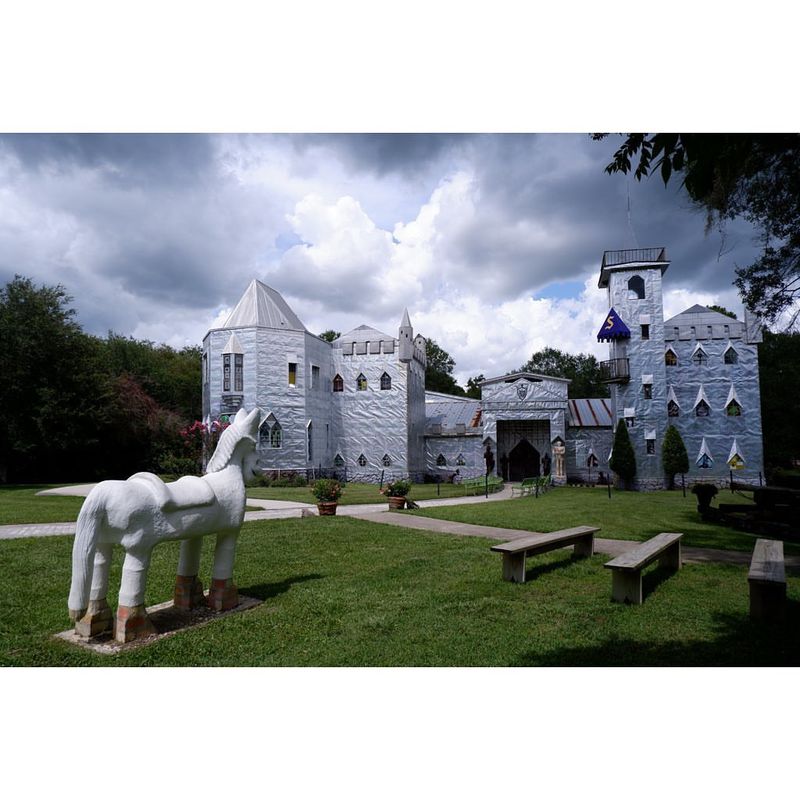 The Visionary Behind the Castle