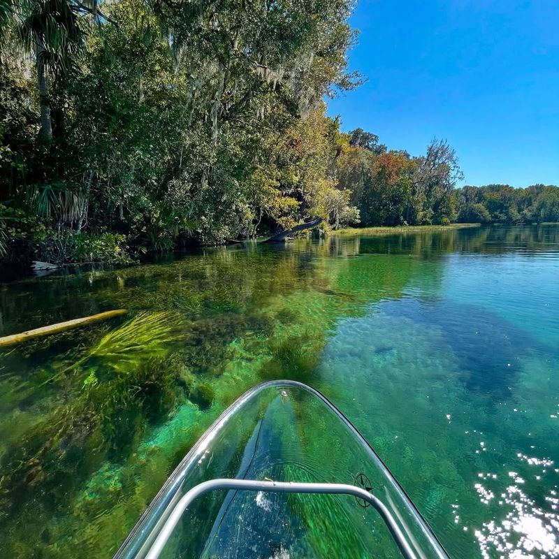 Rainbow Springs State Park — Dunnellon
