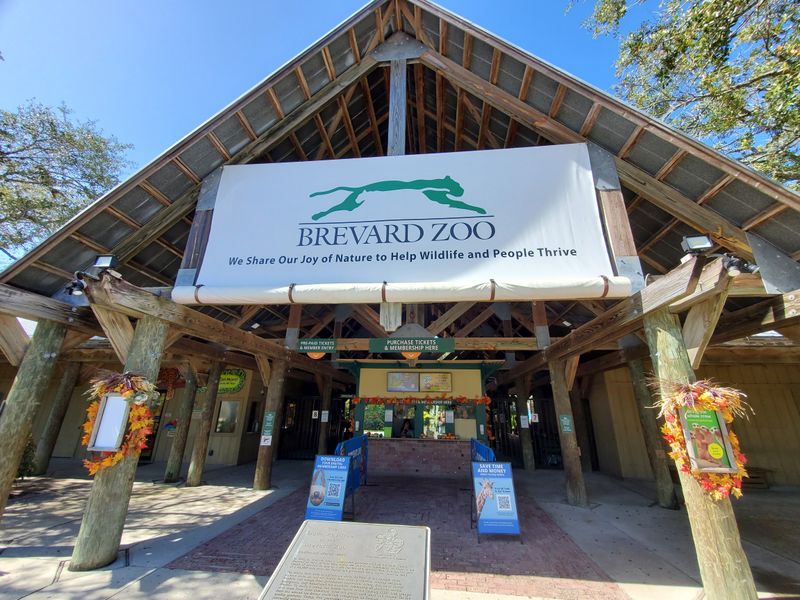 Is Brevard Zoo Worth the Trip? Final Thoughts