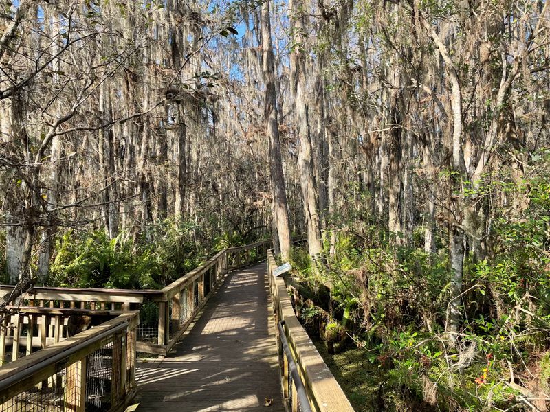 Arthur R. Marshall Loxahatchee National Wildlife Refuge