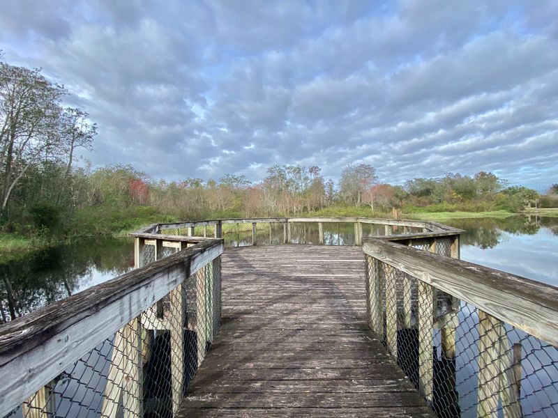 Big Cypress National Preserve