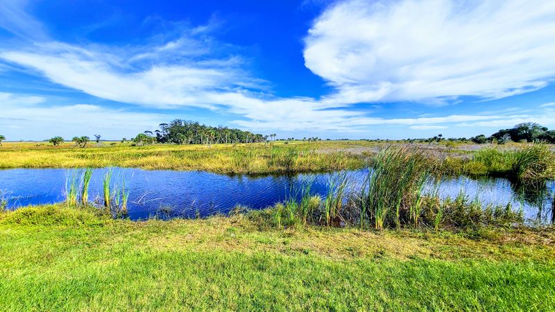 Kissimmee Prairie Preserve State Park (Okeechobee)