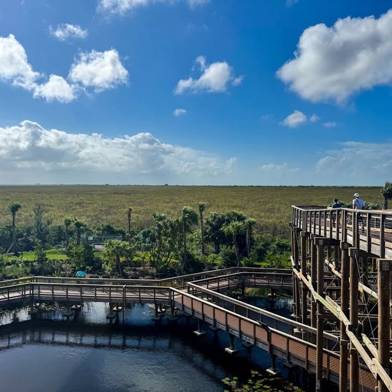 Everglades Alligator Alley – South Florida