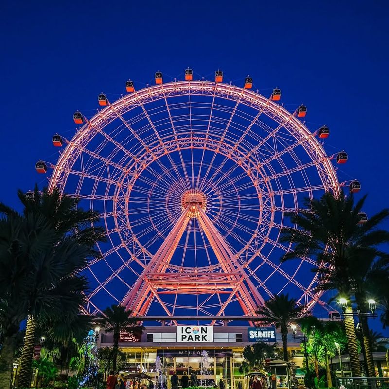 Ride The Wheel at ICON Park in a Private Capsule
