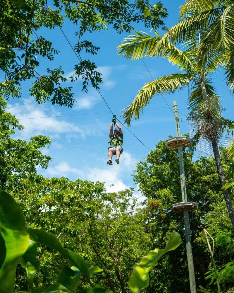 Treetop Trekking Miami