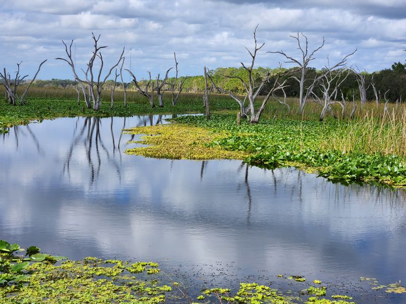 Orlando Wetlands Park