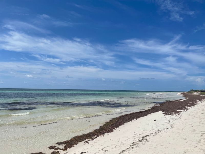 Best Beaches at the Park: Sandspur, Calusa, and Loggerhead