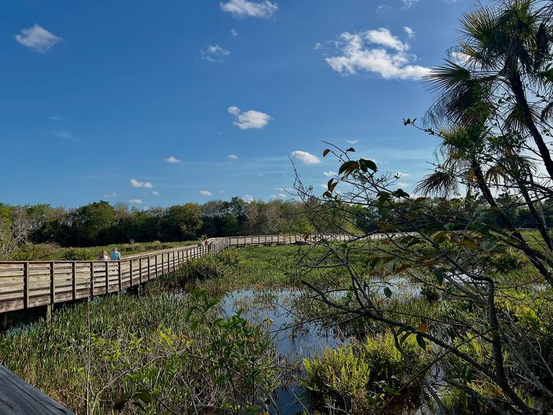Take a Nature Walk at Green Cay Wetlands (Boynton Beach)