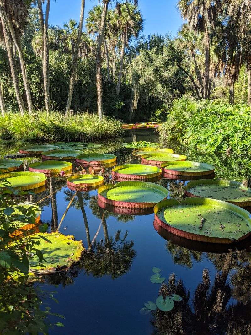 Bok Tower Gardens (Lake Wales)