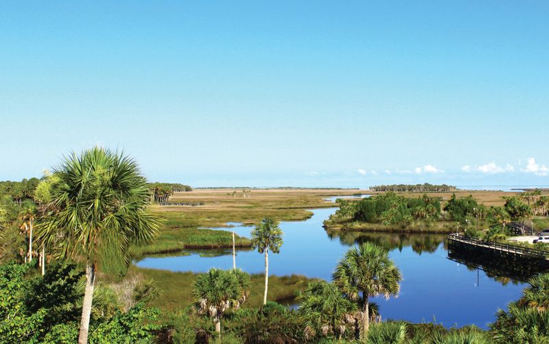 The Manatee Springs Loop (Crystal River → Homosassa → Weeki Wachee)
