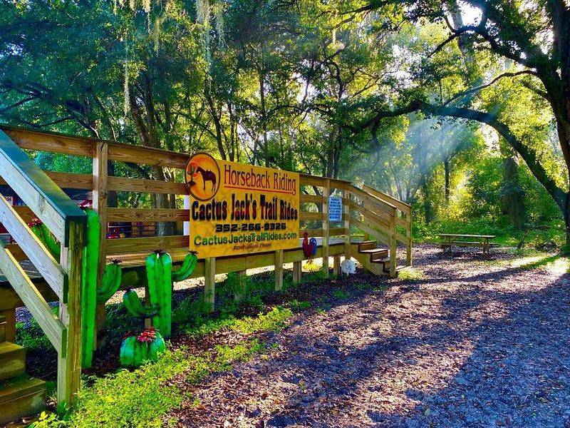 Cactus Jack's Trail Rides & Farm Tours (Ocala)