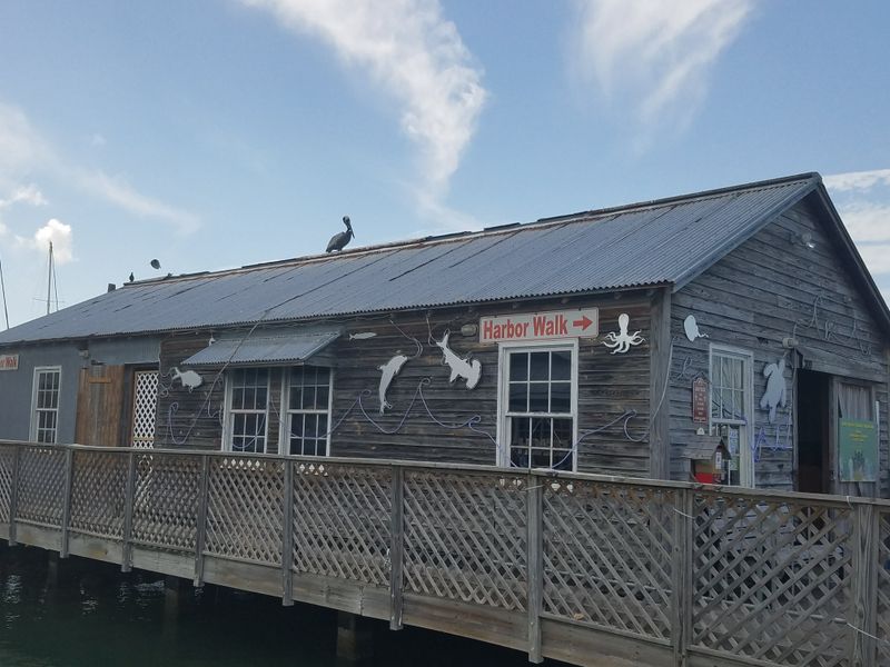 Turtle Cannery Museum (Key West)