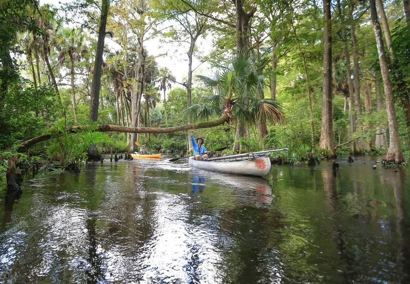 Loxahatchee River (Jupiter area)