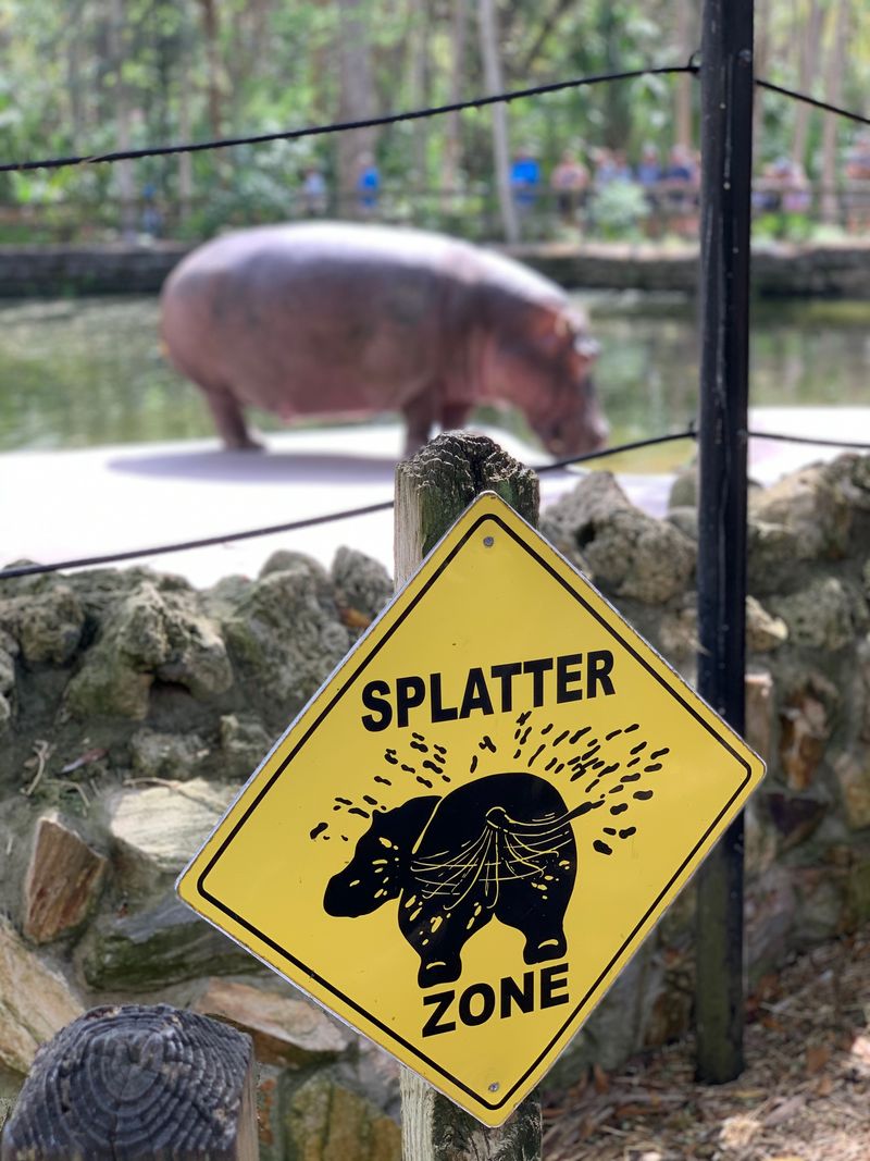 Know Before You Go: Tickets, Hours, and Visitor Tips